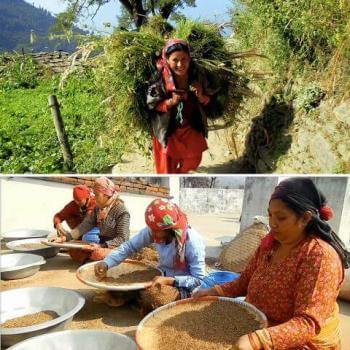 Himalayan teas in a restaurant