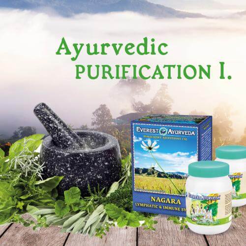 Join the Ayurvedic Purification I. Lymph & Blood Everest Ayurveda