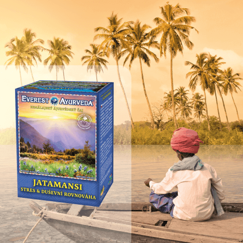 mental balance Everest Ayurveda